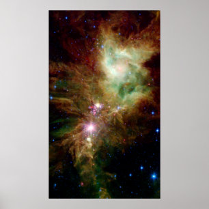Snowflake Star Cluster Space NASA Poster