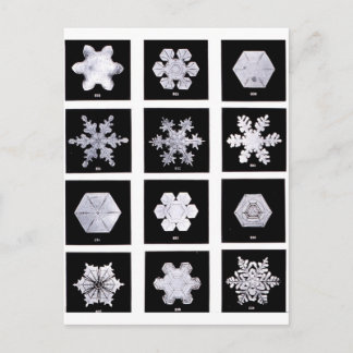 Snowflake Teller Wetterfotografie Postkarte