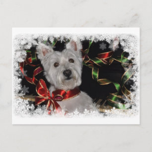 Snowflake Westie Postkarte