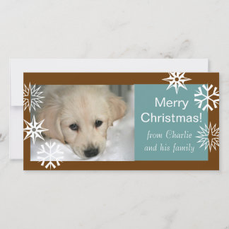 Snowflakes Dog Christmas Photo Cards Brown Blue Feiertagskarte