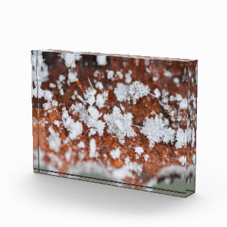 Snowflakes fotoblock