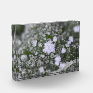 Snowflakes fotoblock