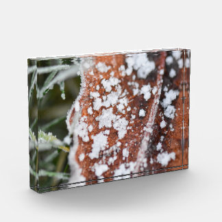 Snowflakes fotoblock