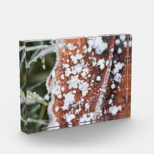 Snowflakes  fotoblock (Links)