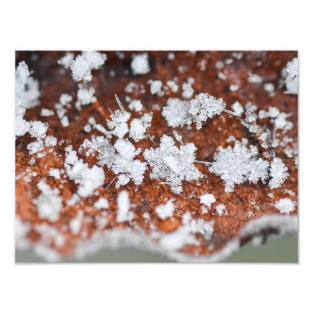 Snowflakes  fotodruck (Vorne)