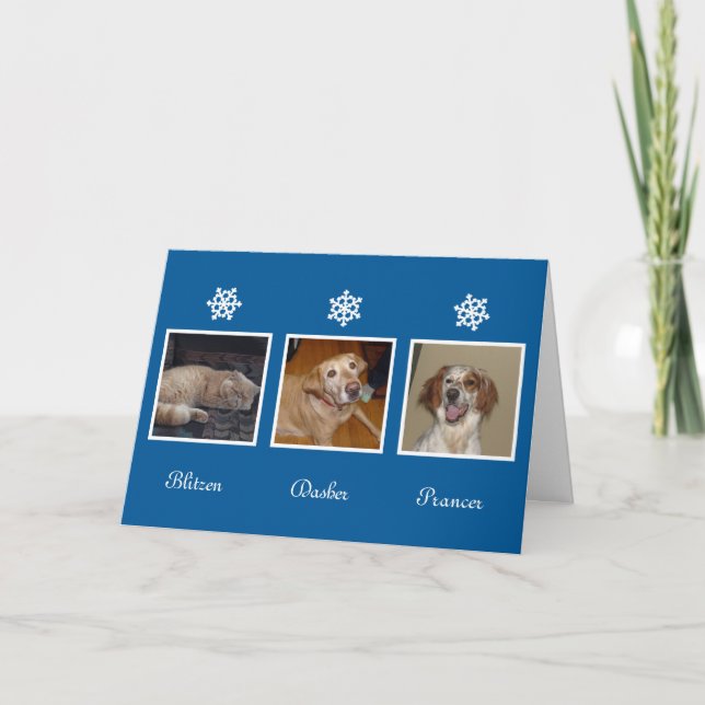 Snowflakes Hanukkah Feiertagsgeschichte Foto Feiertagskarte (Vorderseite)