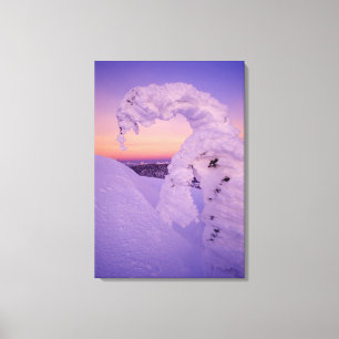 Snowghost in der Whitefish Range bei Twilight Leinwanddruck