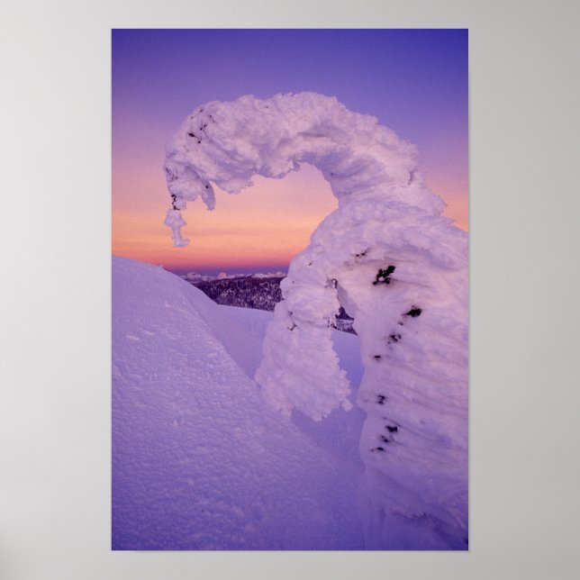 Snowghost in der Whitefish Range bei Twilight Poster (Vorne)