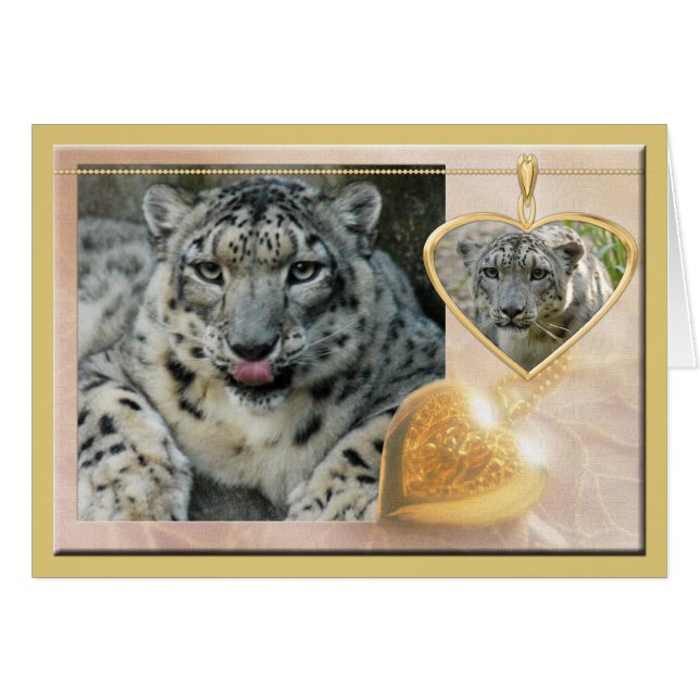 Snowleopard-00457 (Vorderseite (Horizontal))