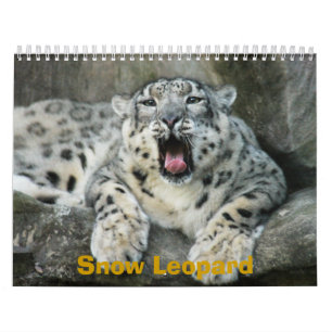 SnowLeopardBCR007, Schnee-Leopard Kalender