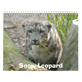SnowLeopardBCR012, Schnee-Leopard Kalender