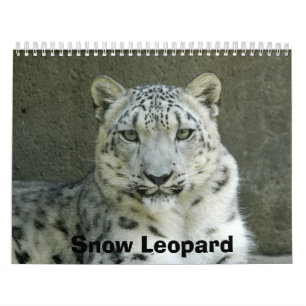SnowLeopardM002, Schnee-Leopard Kalender