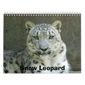 SnowLeopardM002, Schnee-Leopard Kalender