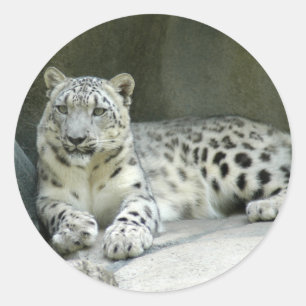 SnowLeopardM003 Runder Aufkleber