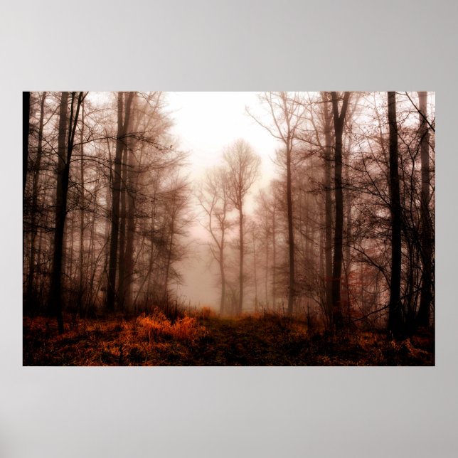 Snowless Wald des drastischen roten nebeligen Poster (Vorne)