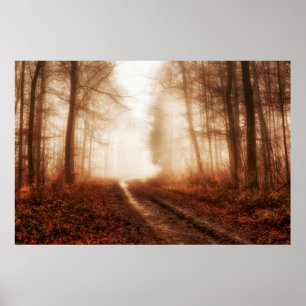 Snowless Wald des drastischen roten nebeligen Poster
