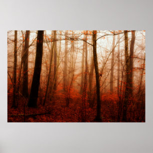 Snowless Wald des drastischen roten nebeligen Poster