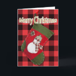 Snowman Christmas Strumpf Buffalo Karierte Vorlage<br><div class="desc">Diese Weihnachtskarte zeigt ein Foto eines hausgemachten roten und grünen Strumpfs mit einem bezaubernden Schneemann, der mit einem saisonalen karierten Schal gekleidet ist, und einem Hut-Set über Büffel kariert. Personalisieren Sie den Gruß im Inneren, entfernen Sie jeden Text oder klicken Sie auf Anpassen, um einen Schriftart Stil, Größe und Farbe,...</div>