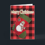 Snowman Christmas Strumpf Buffalo Karierte Vorlage<br><div class="desc">Diese Weihnachtskarte zeigt ein Foto eines hausgemachten roten und grünen Strumpfs mit einem bezaubernden Schneemann, der mit einem saisonalen karierten Schal gekleidet ist, und einem Hut-Set über Büffel kariert. Personalisieren Sie den Gruß im Inneren, entfernen Sie jeden Text oder klicken Sie auf Anpassen, um einen Schriftart Stil, Größe und Farbe,...</div>