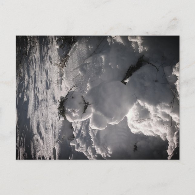 Snowman Foto Postcard Postkarte (Vorderseite)