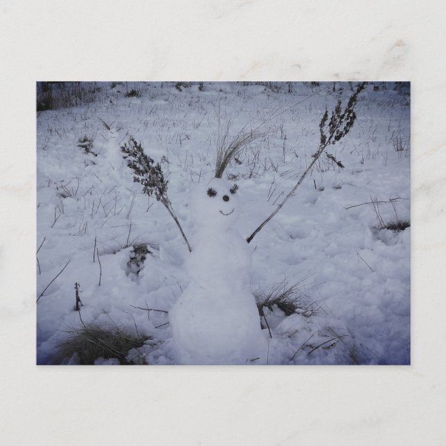Snowman Happy Face FotoPostcard Postkarte (Vorderseite)