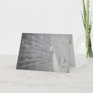 SnowPeacock Dankeskarte