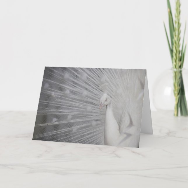 SnowPeacock Dankeskarte (Vorderseite)