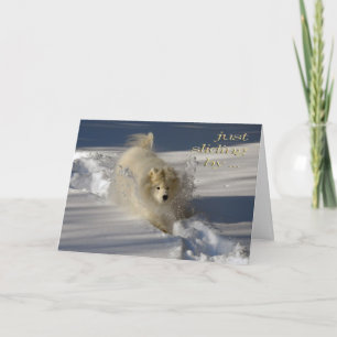 Snowplow Birthday Card Karte