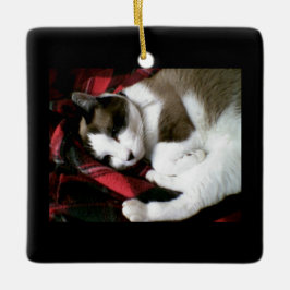 Snowshoe Tartan-Miezekatze Keramikornament