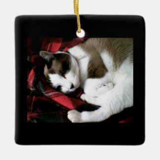 Snowshoe Tartan-Miezekatze Keramikornament