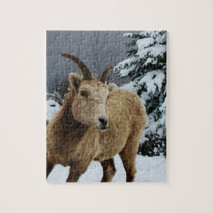 Snowy Animal 8x10 Foto Puzzle