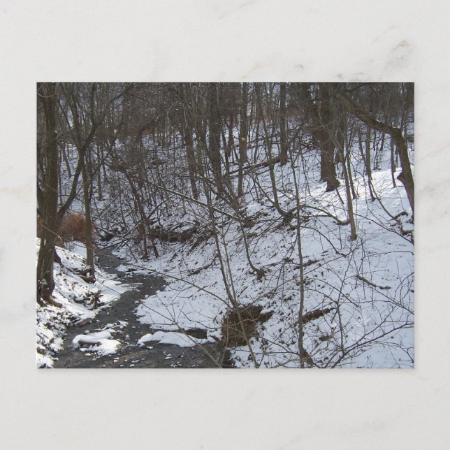 Snowy Bach Postkarte (Vorderseite)