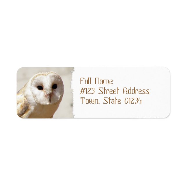 Snowy Barn Owl Mailing Labels (Vorne)