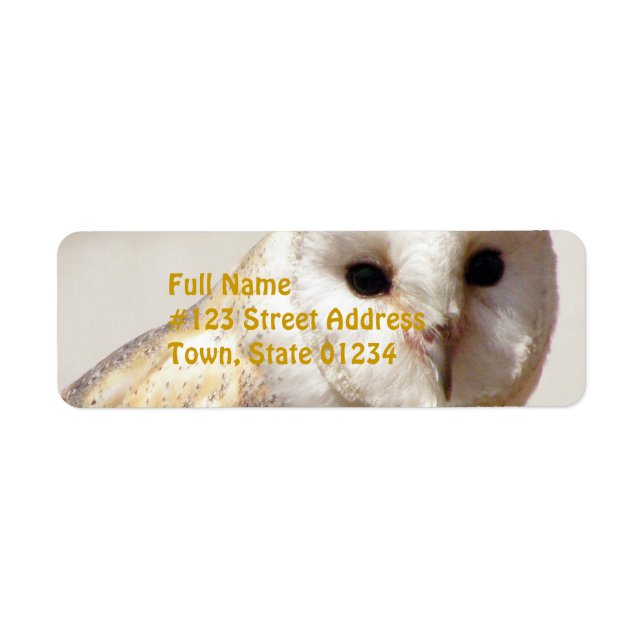 Snowy Barn Owl Mailing Labels (Vorne)