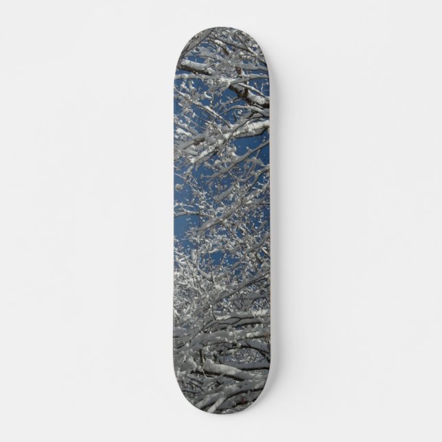 Snowy-Baum-Brett Skateboard (Vorne)