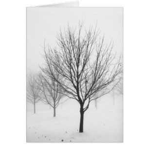 Snowy-Bäume (freier Raum)