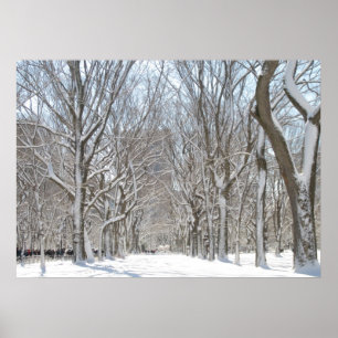 Snowy-Bäume im Central Park Poster