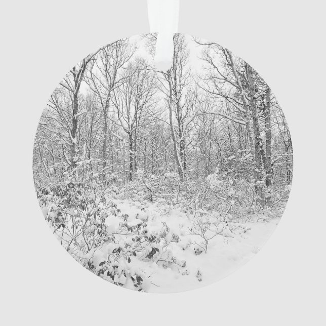 Snowy-Bäume im Poconos Ornament (Rückseite)