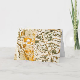 Snowy Birch Feiertagskarte