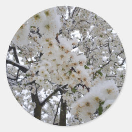 Snowy Blossom Sticker
