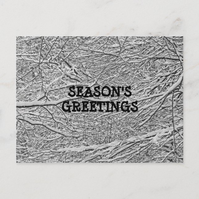 Snowy Branches Grußkarte Postkarte (Vorderseite)
