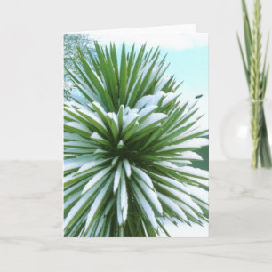 Snowy Cactus card Karte