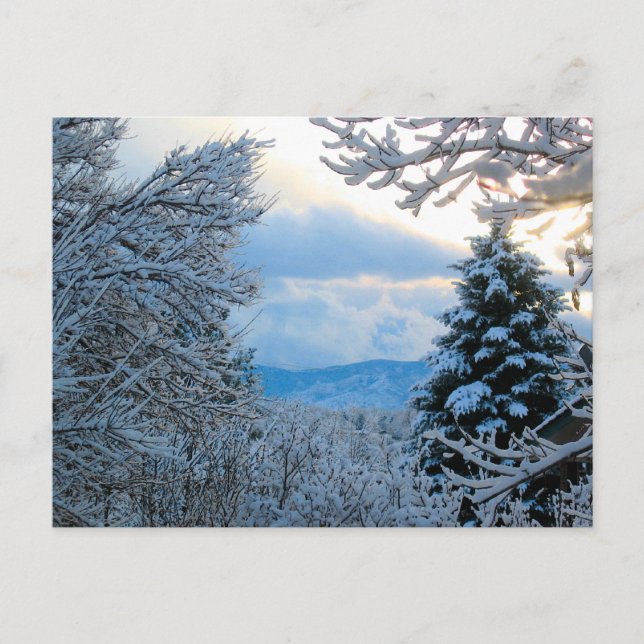Snowy Colorado Postkarte (Vorderseite)