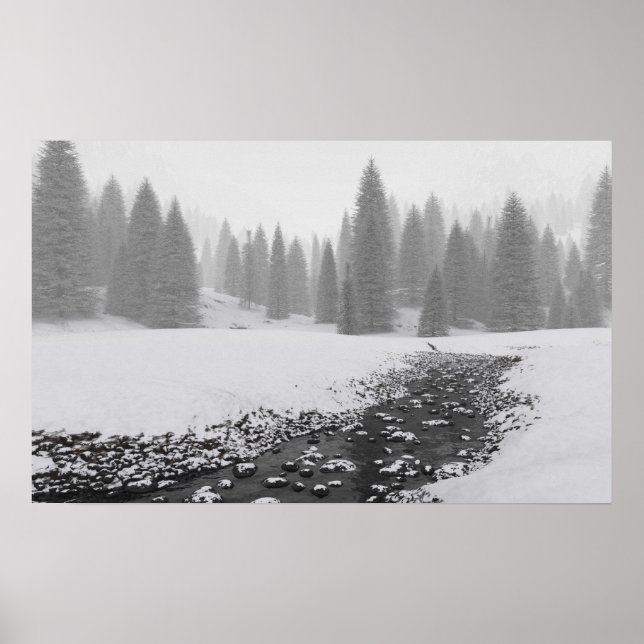 Snowy Creek Poster (Vorne)