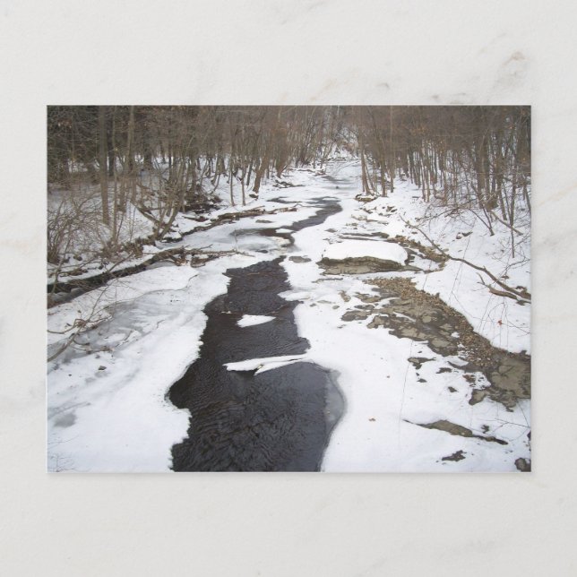 Snowy Creek Postkarte (Vorderseite)