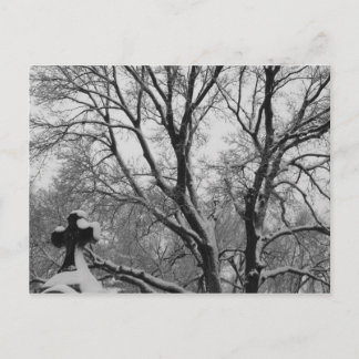 Snowy Cross Postkarte