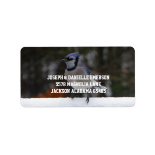 Snowy Day Blue Jay Address Labels Adressaufkleber