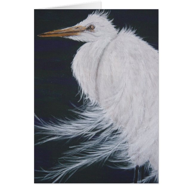 Snowy Egret (Vorne)