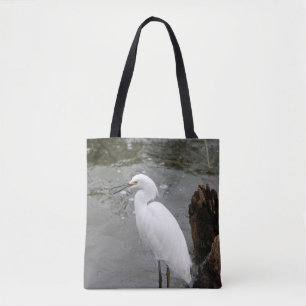 Snowy Egret