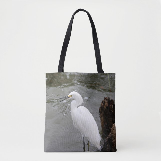 Snowy Egret (Vorderseite)